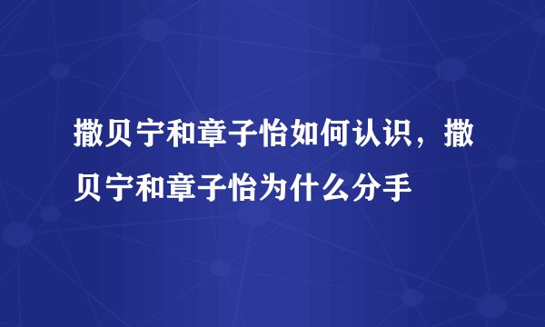 撒贝宁和章子怡如何认识，撒贝宁和章子怡为什么分手
