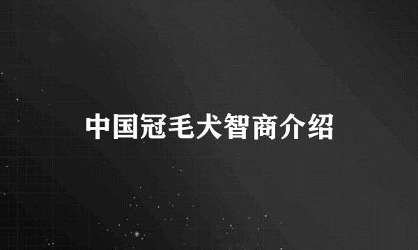 中国冠毛犬智商介绍