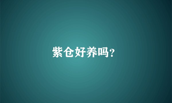 紫仓好养吗？