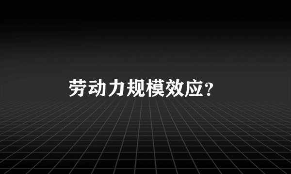 劳动力规模效应？