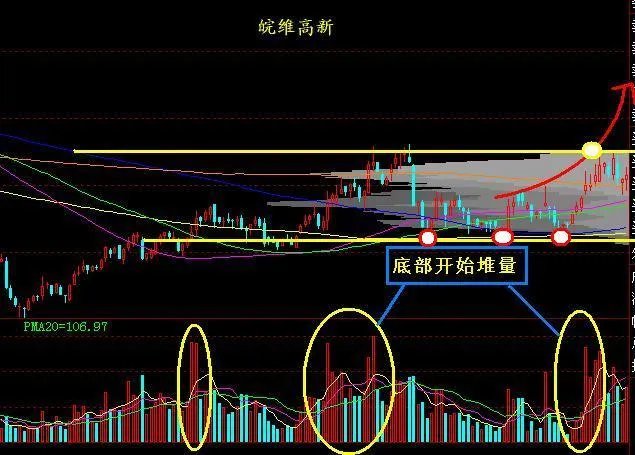 皖维高新的股票简介