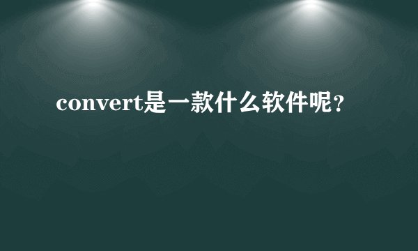 convert是一款什么软件呢？