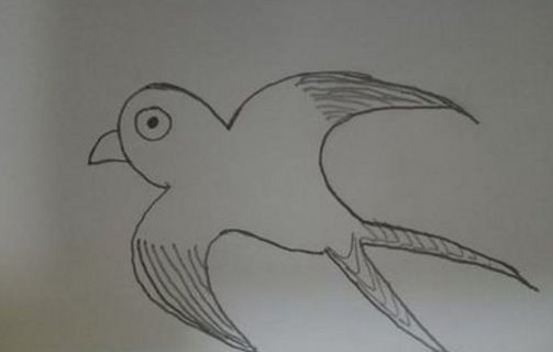 燕子怎么画