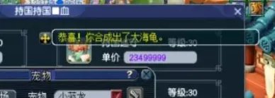 《梦幻西游》怎样合宠 合宠攻略