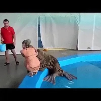 小编的菊花被白衣姐姐玩弄了！又痛又爽的囧图