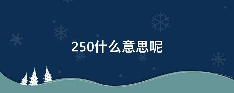 250什么意思呢