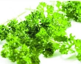 鱼子酱狗粮怎么样