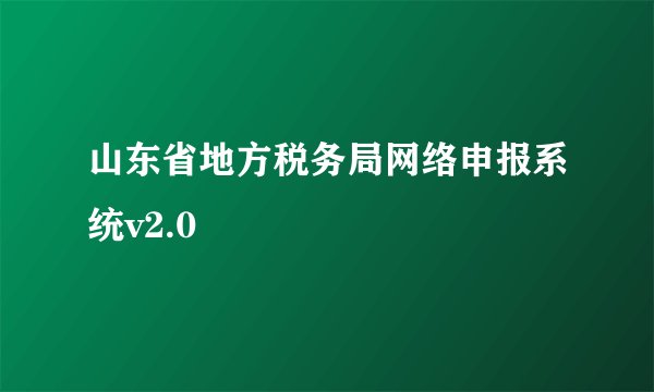 山东省地方税务局网络申报系统v2.0