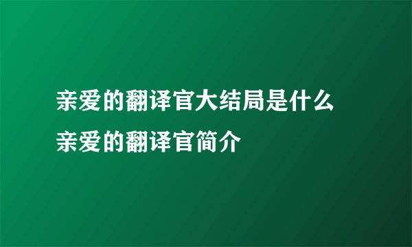 亲爱的翻译官大结局是什么 亲爱的翻译官简介