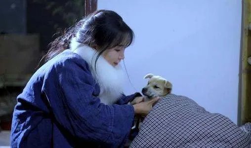 李子柒的作品被抄袭,她是怎么维权的?