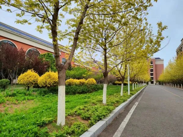 辽宁师范大学海华学院好不好