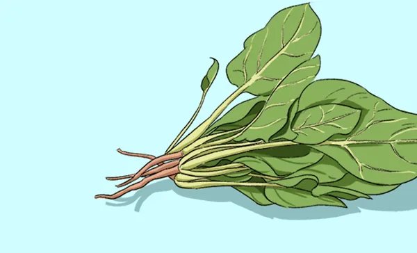 胃炎患者吃什么食物好