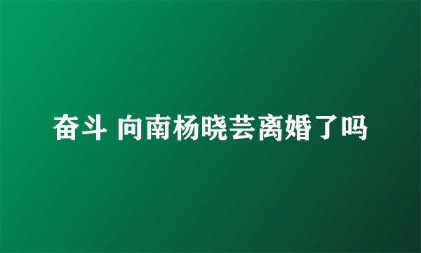 奋斗 向南杨晓芸离婚了吗