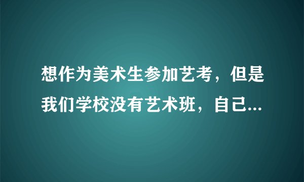 想作为美术生参加艺考，但是我们学校没有艺术班，自己想参加艺考该怎么办？？