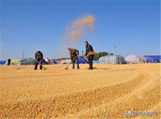 怎么防止地磅做手脚