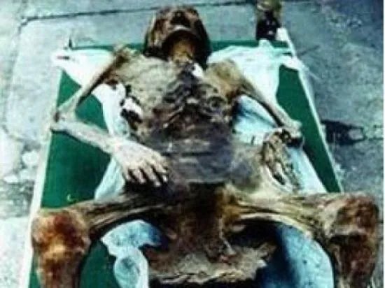 男子发现木乃伊猫 千年女木乃伊产下活婴