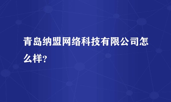 青岛纳盟网络科技有限公司怎么样？