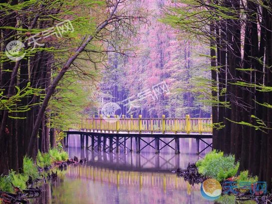 南京周边自驾一日游景点 2018南京1天时间周边游景点推荐