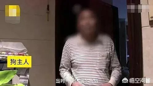 宠物狗不牵绳追撵9岁男童，深圳犬主被罚款500元, 你怎么看？