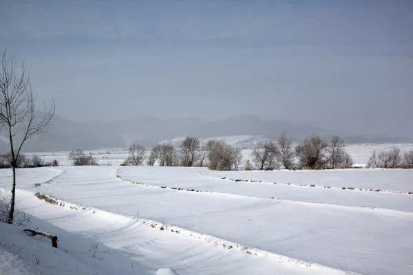下过大雪过后为什么显得非常寂静？