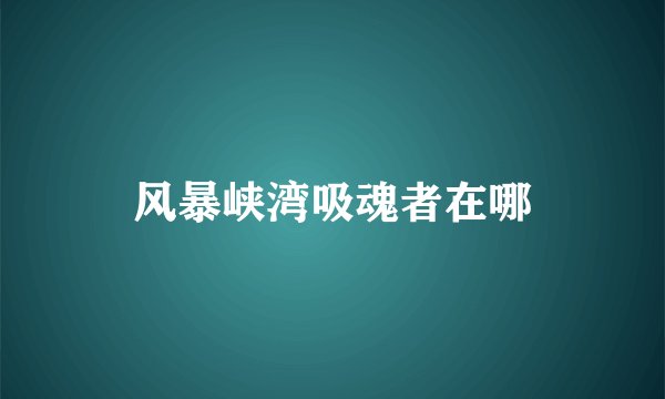 风暴峡湾吸魂者在哪