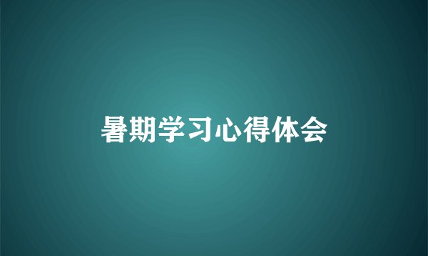 暑期学习心得体会