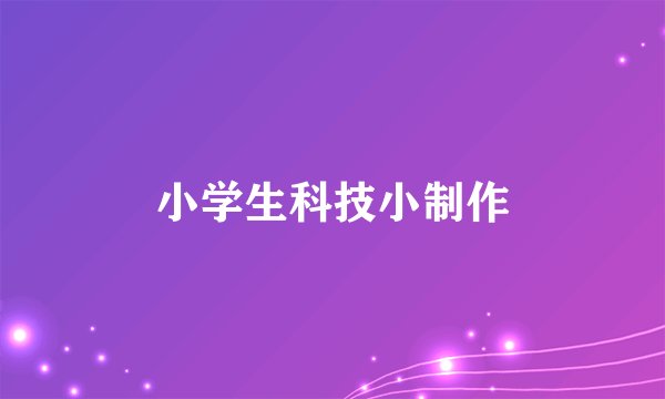 小学生科技小制作