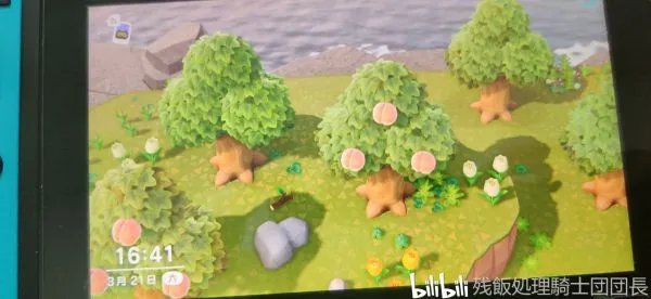 《动物森友会》速刷30铁矿石方法 怎么快速挖矿