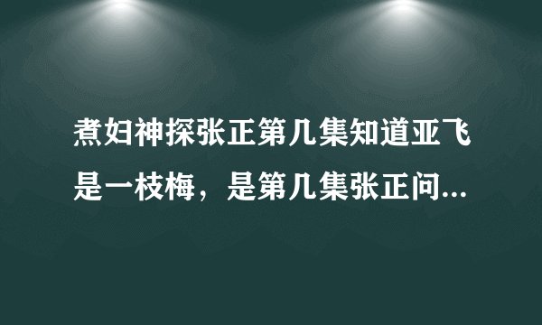 煮妇神探张正第几集知道亚飞是一枝梅，是第几集张正问亚飞的？