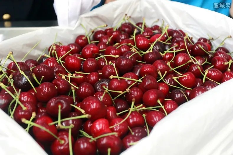 车厘子多少钱一斤 2019最新价格行情