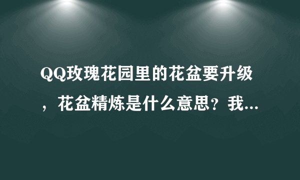QQ玫瑰花园里的花盆要升级，花盆精炼是什么意思？我的精炼是116/120，请问怎么升精炼？。