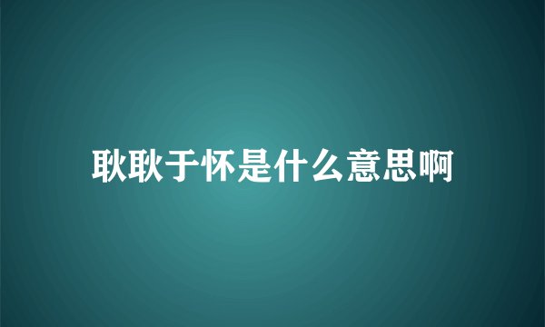耿耿于怀是什么意思啊