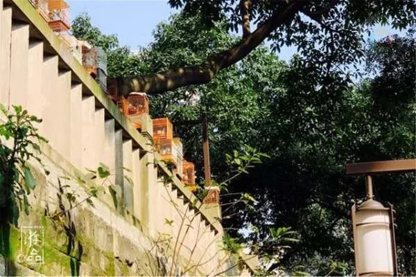 重庆的空气质量如何