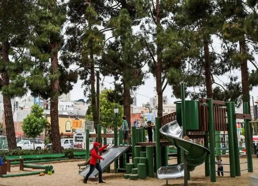 华人女子在美被掉落树枝砸瘫痪获赔多少万美元？