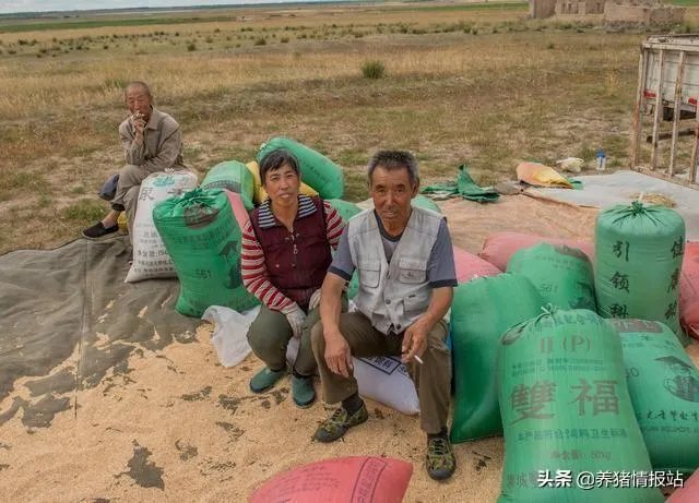 怎么防止地磅做手脚