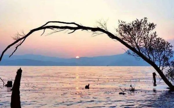 我越来越不愿意看朋友圈了，你们呢？为什么？