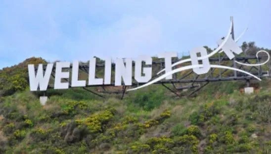 新西兰首都？？？