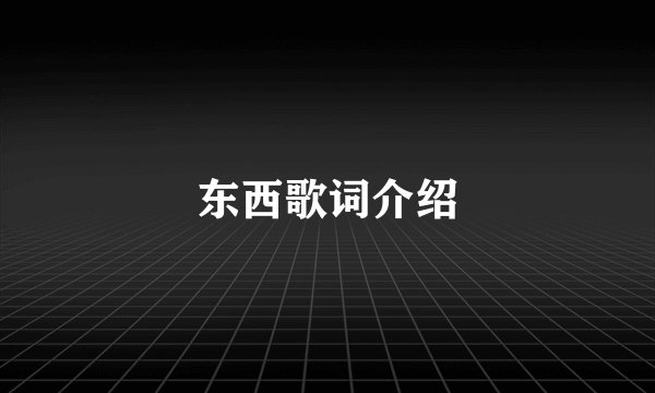 东西歌词介绍