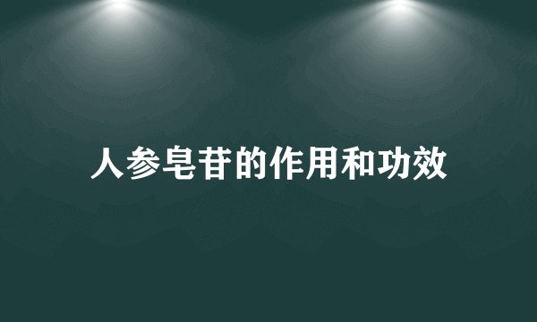 人参皂苷的作用和功效