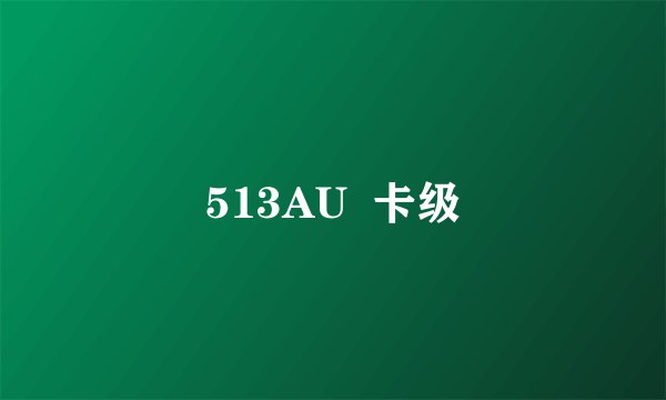 513AU  卡级