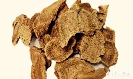 金樱子和山木香有什么区别？