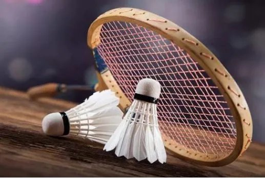 羽毛球大多是什么羽毛制成的