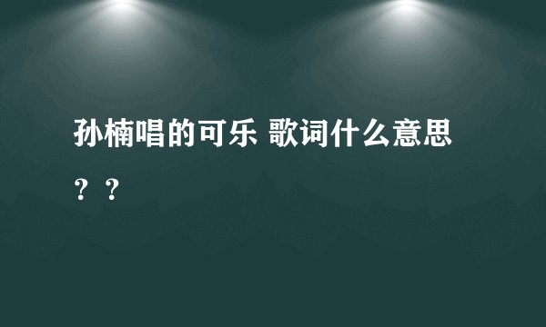 孙楠唱的可乐 歌词什么意思？？