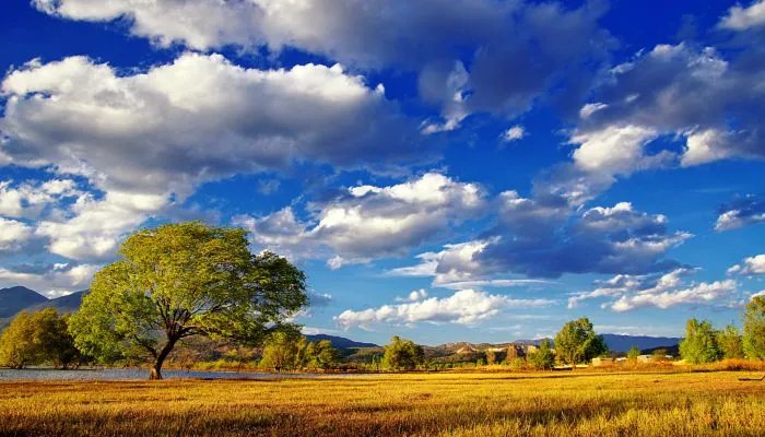 2022年5月出行黄道吉日一览表