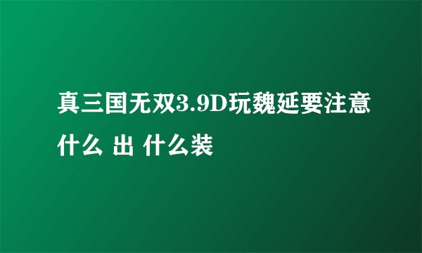 真三国无双3.9D玩魏延要注意什么 出 什么装