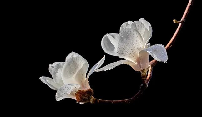 回忆往事的感慨句子 回想过去感触深的句子