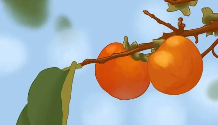 霜降吃什么食物养生 霜降养生必吃的7种食物