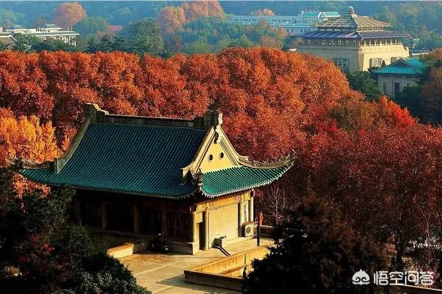 武汉大学和华中科技大学哪个最强？