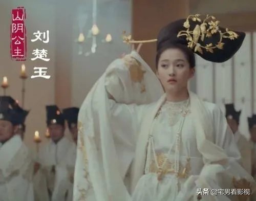 凤囚凰电视剧演的什么意思