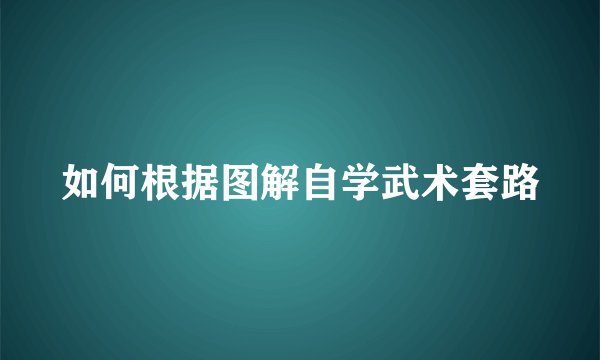 如何根据图解自学武术套路